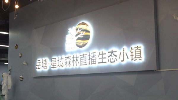 岳塘 · 星域森林直播生态小镇校企合作以及签约仪式活动，开启直播带货新高度